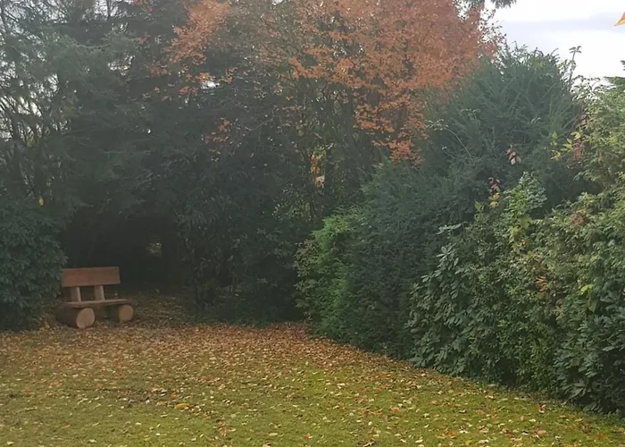Familienfreundliches Am Grinderwald Nah Steinhuder Ferienhaus